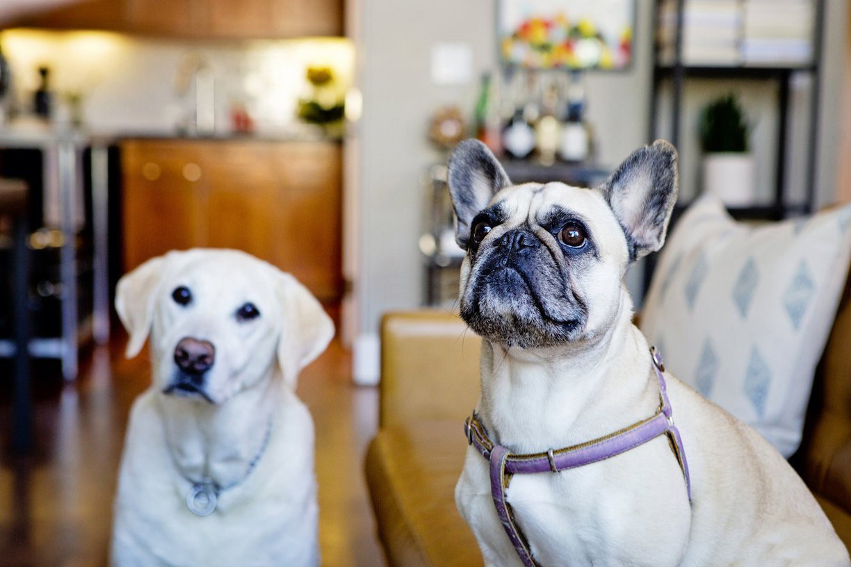 龍湖九里晴川-現代簡約-臥室設計效果圖 龍湖九里晴川-現代簡約-臥室設計效果圖